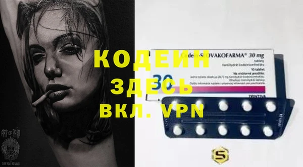 дурь Алексин