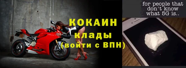 дурь Алексин