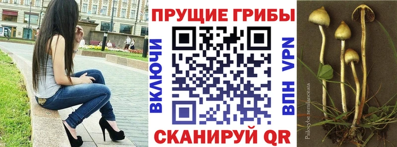 дарк нет какой сайт blacksprut онион Любань Галлюциногенные грибы прущие грибы