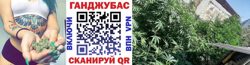 купить   Любань  Конопля Bruce Banner 